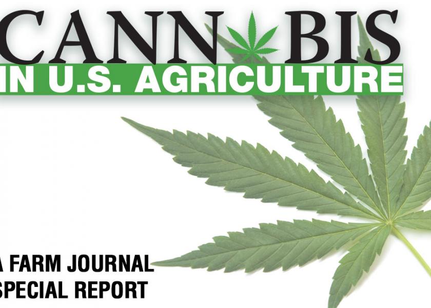 From Drovers: Cannabis in U.S. Agriculture