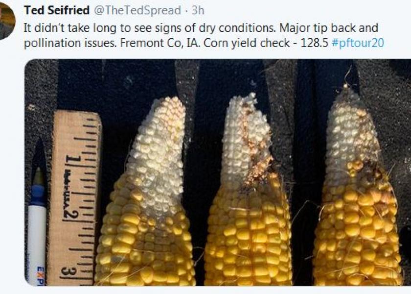 200-Plus Bu. Corn In Parts Of Western IL, SW IA Crop 'Hit And Miss'