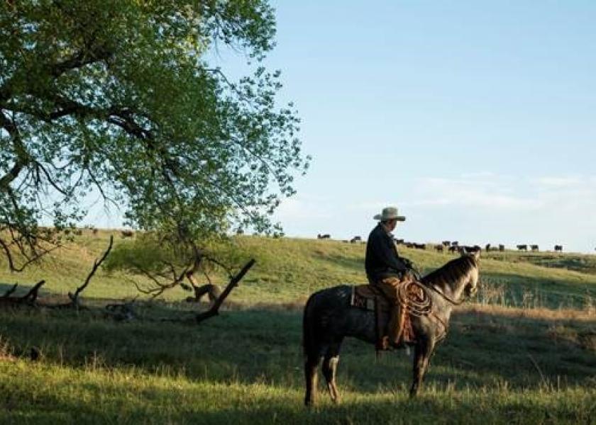 Beef producers can help improve implant program success by prioritizing the health and nutrition of their cattle.