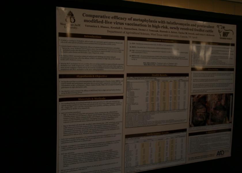 First Place: Veronica Munoz, West Texas A&M: Comparative Efficacy of Metaphylaxis with Tulathromycin and Pentavalent Modified-Live Virus Vaccine in High-Risk, Newly Received Feedlot Cattle.
