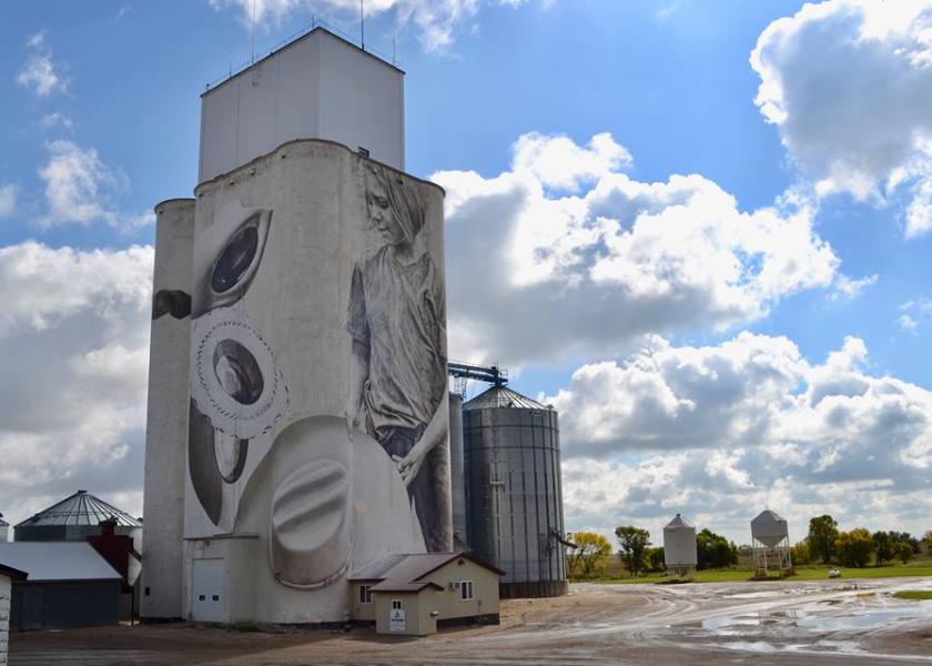 110’ Mural Covers Local Elevator From Top To Bottom