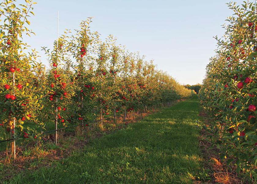 Honeycrisp  Applewood Fresh Growers LLC