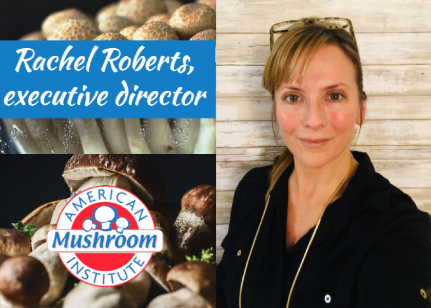 American Mushroom Institute hires executive director