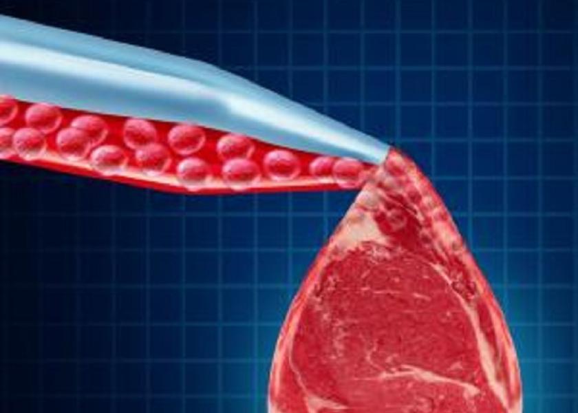 John Phipps: My own hunch is aversion to meat derives from another more obvious source: CAFOs.