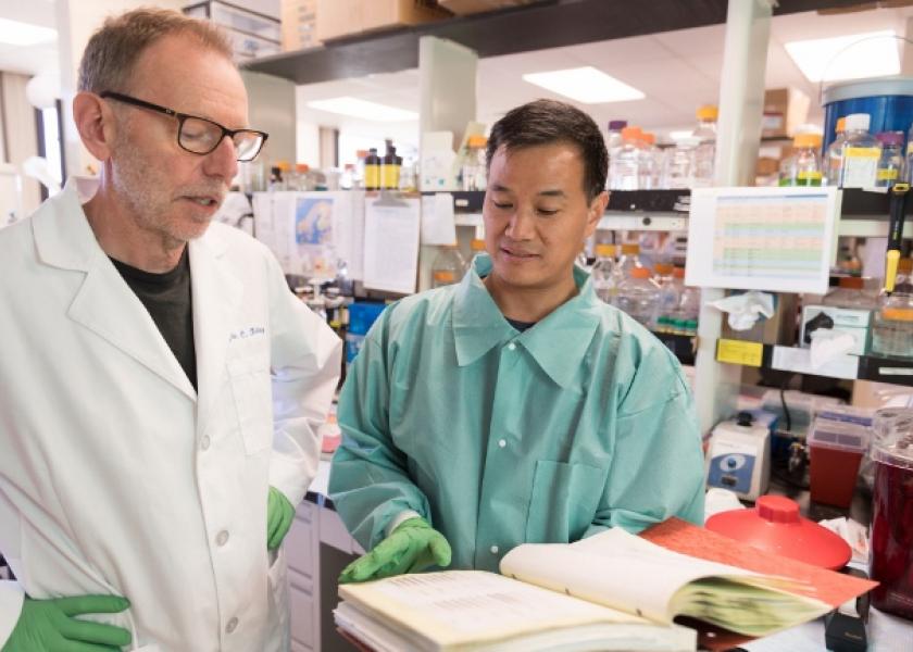 Professor Glenn Telling, director of the Prion Research Center at CSU (left), talks with Jifeng Bian, research assistant, about their chronic wasting disease research. 
