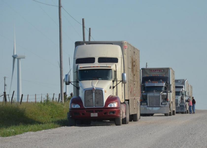 HAULS Act Expands Hours of Service Flexibility for Livestock Haulers