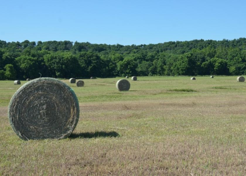 The U.S. hay supply is at a 50-year low. Couple this with rising costs and it becomes prudent to plan fall, winter and next spring’s hay needs sooner rather than later.