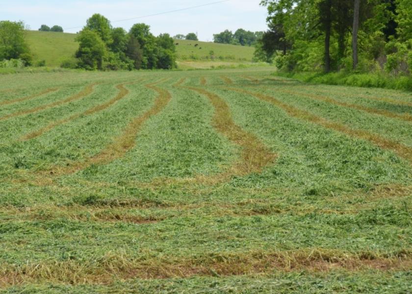 Hay Moisture Levels How Wet Is Too Wet? Ag