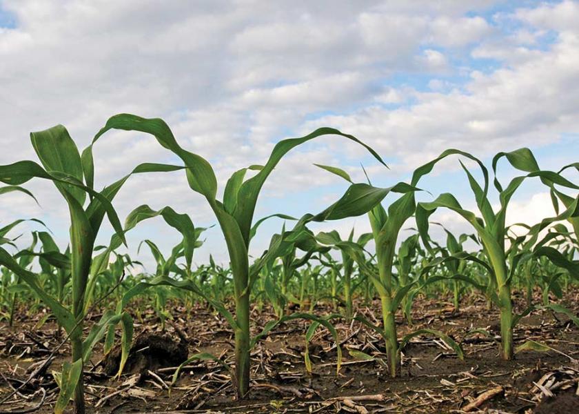 Corn prices came under pressure Tuesday. With July corn falling 37 cents to end the day to close at $6.20, the closing price on Tuesday marked a one-month low. 