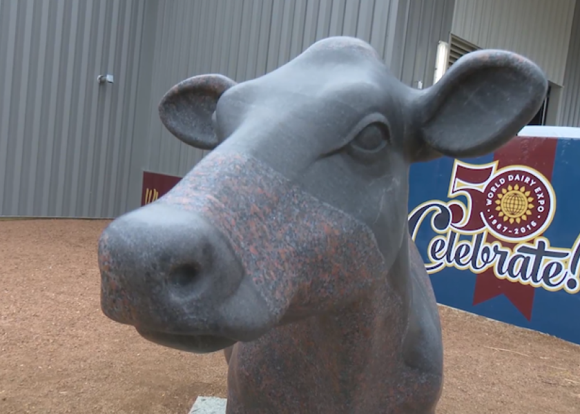 WDE New 6,900Pound Resident Dairy Herd