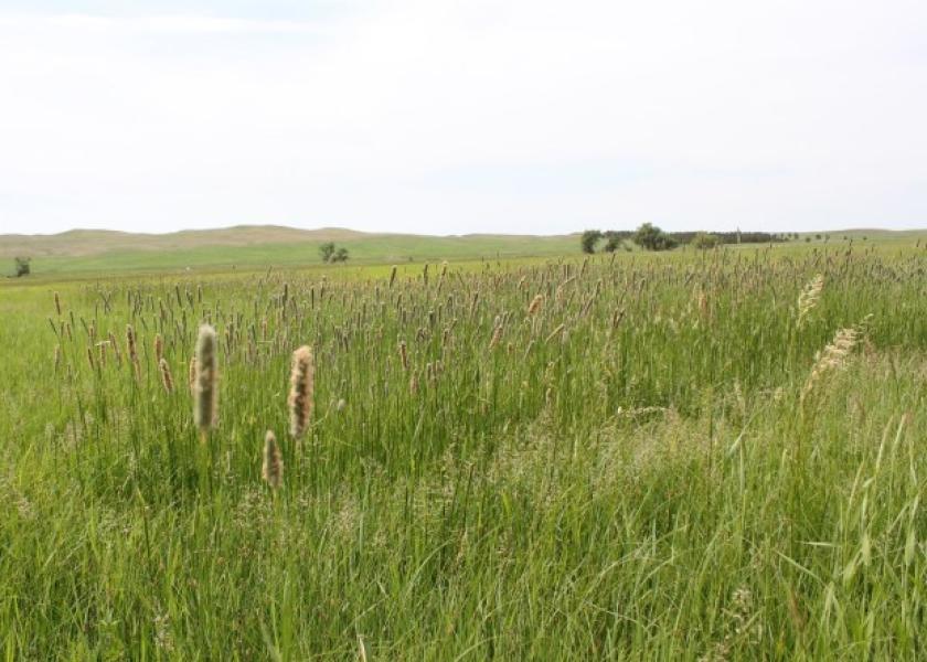 Pencil Out the Peril of Precipitation Loss