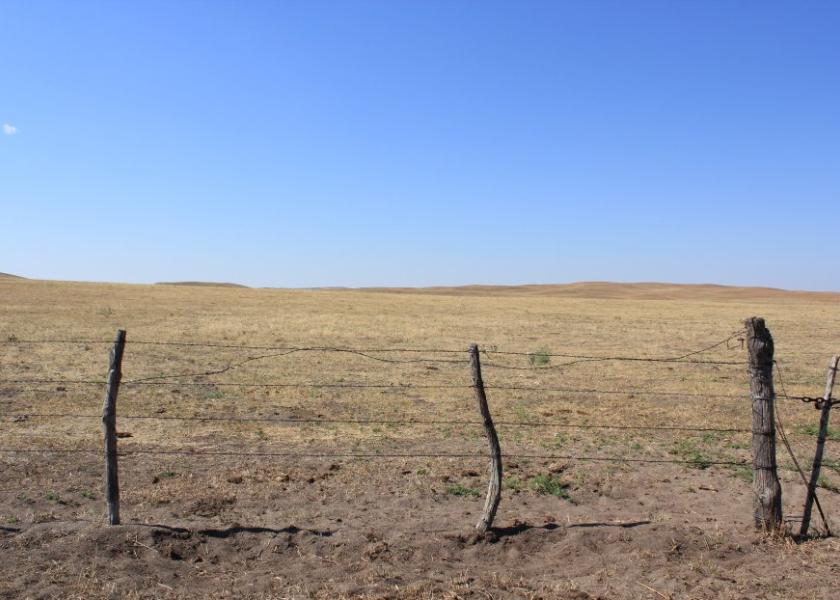 There's little vegetative growth on pastures in the Northern Plains.