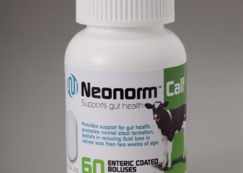 NeonormLargeBottle_0029_(1)