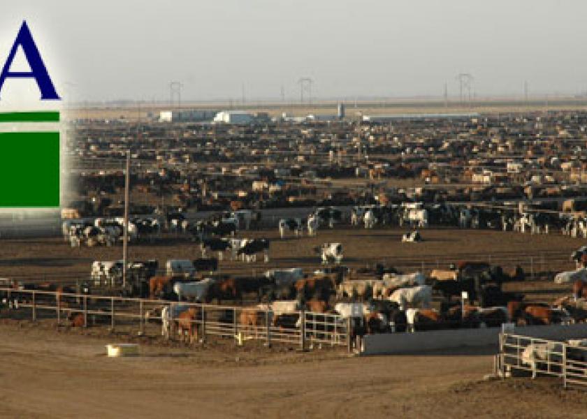 USDA feedyard