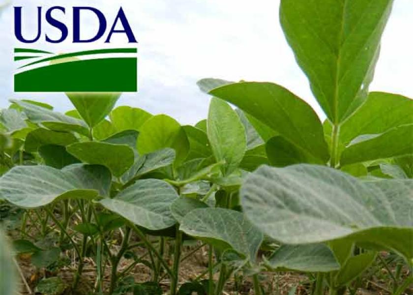AgMarket.net's Brian Splitt thinks in order for USDA to offset the loss or production due to the lower planted acres, USDA needed to reduce old crop stocks, take soybean crush demand lower, as well as trim the soybean export forecast. 