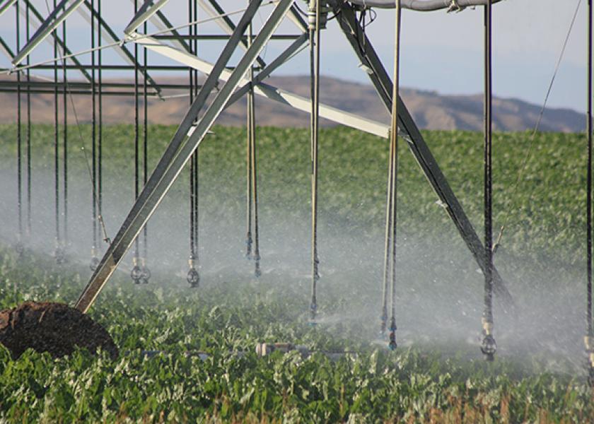 Spring Water and Nutrient Management in Dairy Corn