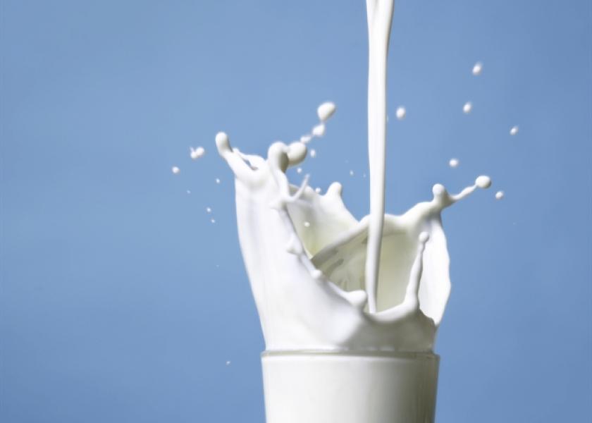 December Milk Production Up 0.7%