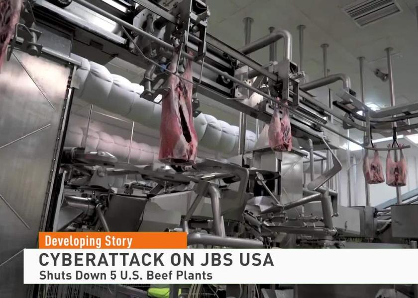 U.S. Cattle Slaughter Drops 27,000 Head As JBS Cyberattack Cripples ...