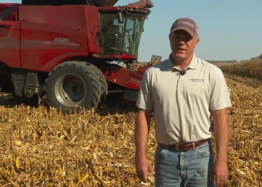 Many Farmers in Illinois Finding Better Than Expected Yields Despite