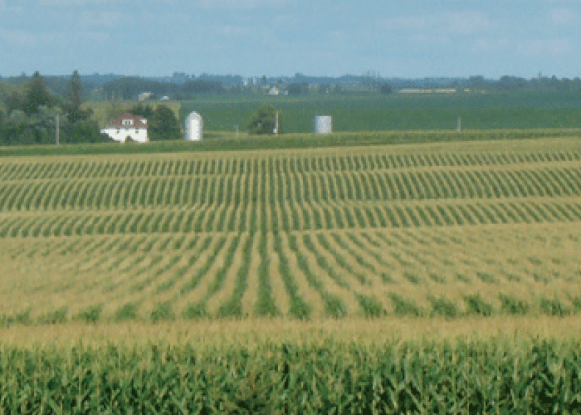 Cold Weather May Cap U.S. Corn Acres, But What About Yield?