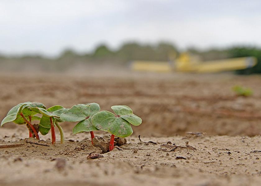 Texas cotton growers are already looking for solutions, knowing without rain in the next month, a cotton crop isn’t likely to take root in the extreme drought conditions. And traders seem to be already taking note of that fact.