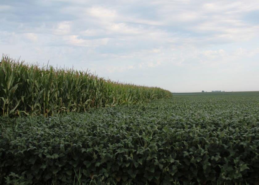 Corn, Soybean CCI Ratings Edge Lower | Pro Farmer