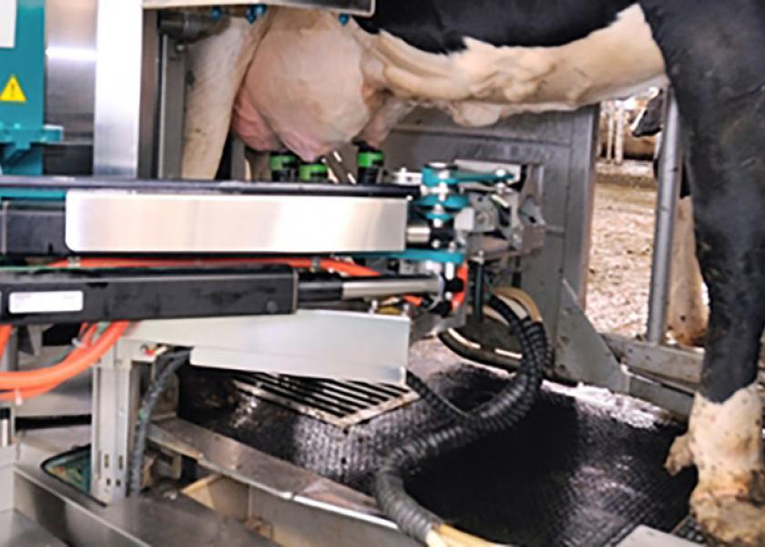 Robots Have a Place Milking Cows on the Dairy