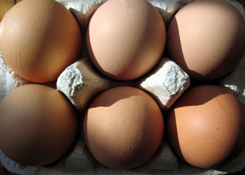 Egg prices are up 60% year-over-year. What's caused the big jump?  Jayson Lusk, head of the Department of Agricultural Economics at Purdue University, says the answer is simple: highly pathogenic avian influenza (HPAI). 
