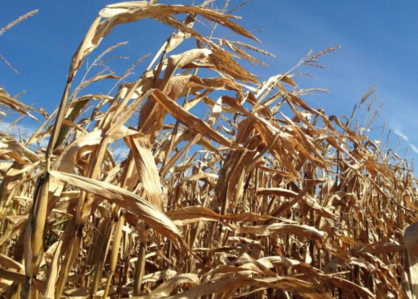 Brazilian production of ethanol from corn rose 58% in the newly passed year as dozens of recently built plants in the country's grain heartland ramped up production, and analysts see an annual increase of around 25% in the new season.