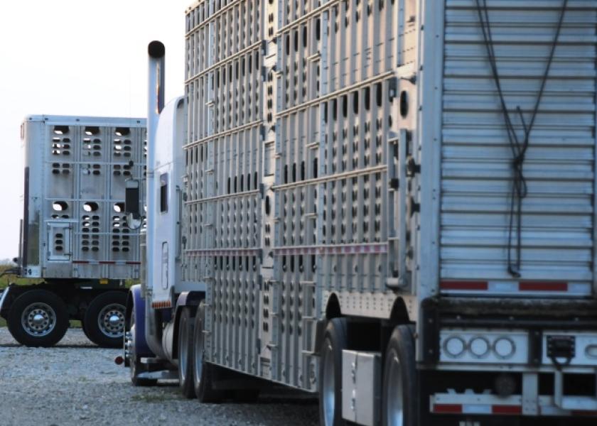 livestock hauling regulations