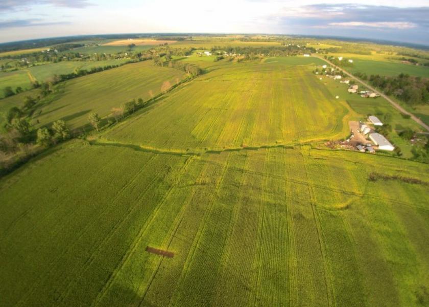Rural bankers report strong farmland values.