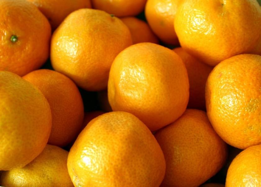The USDA has slightly raised its estimate for Florida orange production.