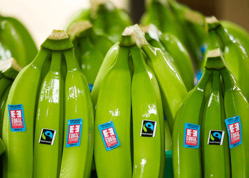 The fair-trade certifier has increased its Fairtrade Minimum Price across 16 banana-growing countries and introduced tools for businesses to assess impact and track living wages in production regions. 