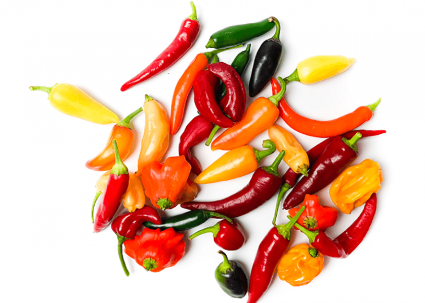 Specialty peppers are purchased by 17% of shoppers, according to the latest Fresh Trends consumer survey.