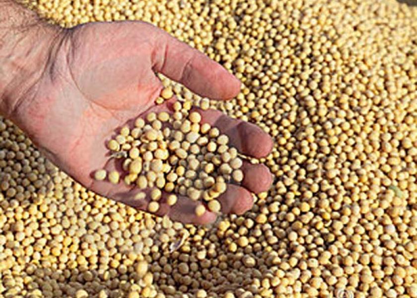 Chicago soybean futures jumped more than 1% on Monday to their highest since June on concerns over supplies from South America and strong demand from China.