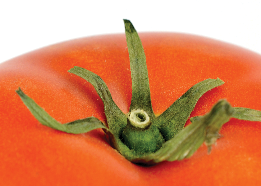  Seed companies are making progress toward developing varieties resistant to the Tomato Brown Rugose Fruit Virus (ToBRFV).